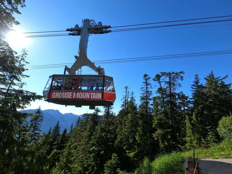 PrivateTour Capilano Br+Granville Islan+Hatchery+Lynn Canyon - First Stop: Lynn Canyon Park Suspension Bridge Walk