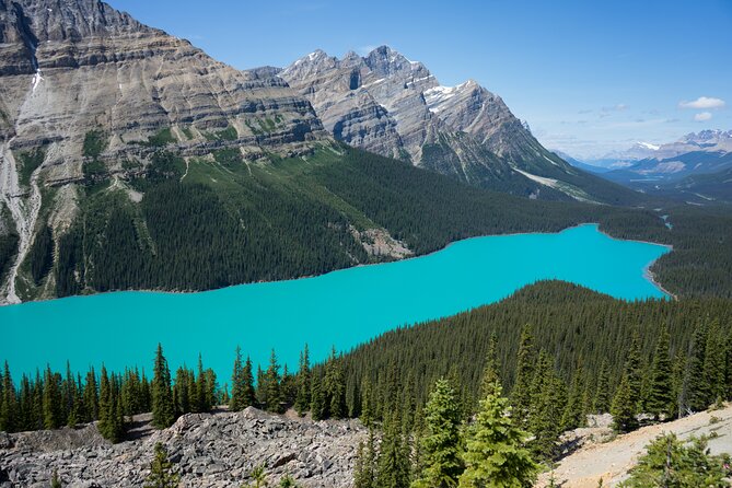 Rockies Western Canada Iconic Sites Tour - Day Six: Banff Gondola views, a guided town walk, and free-choice evenings