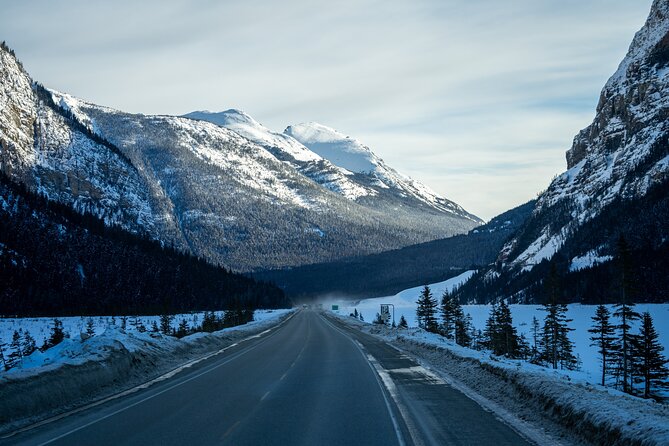 Rockies Winter Premium Tour - Day 4: Bow Valley Parkway Wildlife Chances, Emerald Lake, Rogers Pass, and Craigellachie