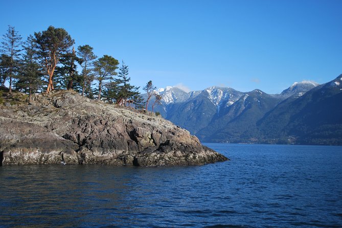 Scuba Dive Boat Charter in Vancouver (Certified Divers Only!) - What you’ll actually see: seals, octopus, wolf eels, and the small stuff