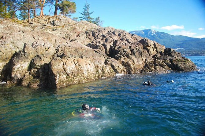 Scuba Dive Boat Charter in Vancouver (Certified Divers Only!) - Ride-along only: scenery from the deck, with a real limitation