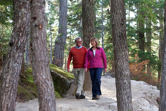 Sea to Sky Gondola Ticket - Food and breaks: Summit Lodge and the tea house
