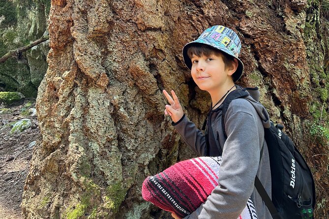 Shannon fall, Quercus Point and Squamish city Private tour - Who this private day trip suits best