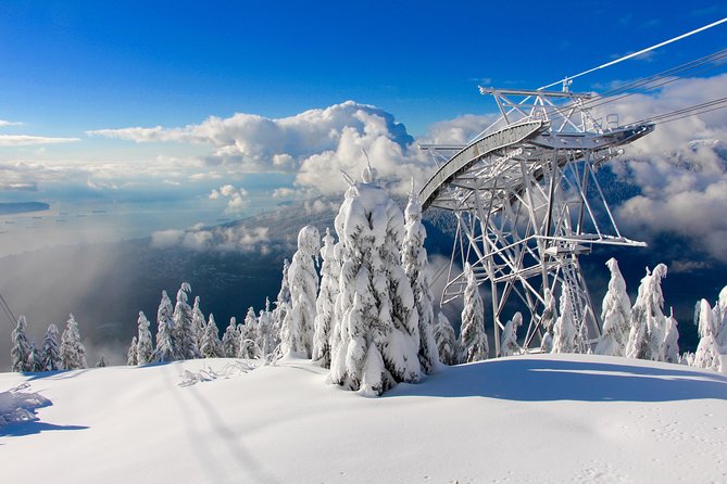 Small Group Tour: Capilano Suspension Bridge and Grouse Mountain from Vancouver - Grouse Mountain: Skyride Up, Bears at the Wildlife Refuge