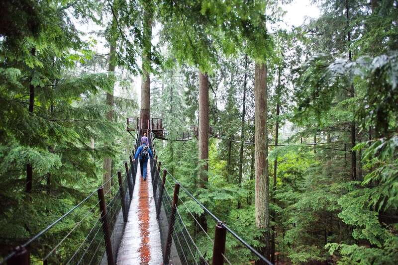 Small group tour of Capilano Bridge & Grouse Mountain - Key things that make this tour work