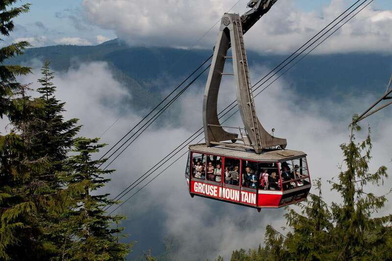 Small group tour of Capilano Bridge & Grouse Mountain - The grizzly and endangered-bird shows aren’t just side quests