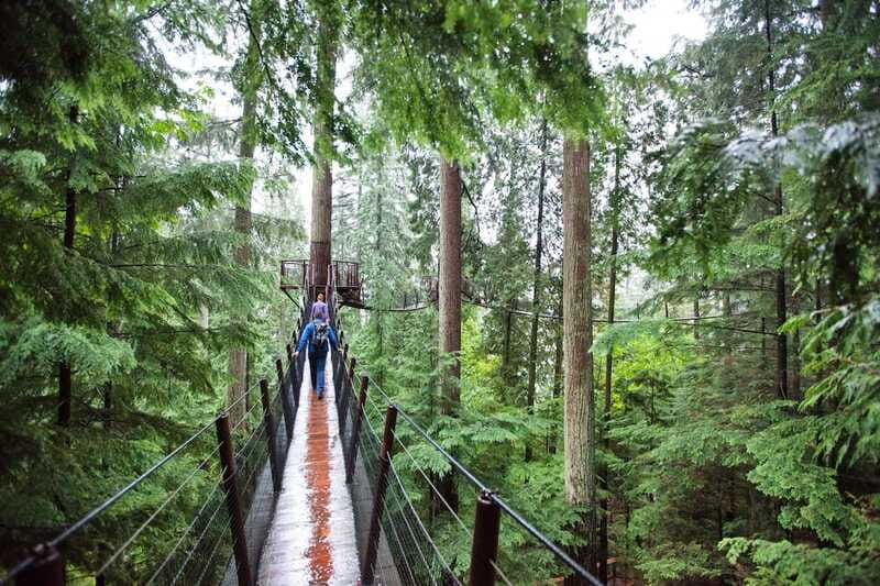 Small group tour of Capilano Bridge & Grouse Mountain - Timing traps: weather, crowds, and that short Capilano window