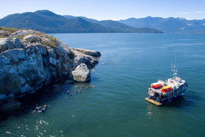 Snorkel, Kayak, and Seal Adventure: Vancouver Boat Tour - Horseshoe Bay Check-In: Getting Set for the Water