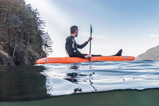 Snorkel, Kayak, and Seal Adventure: Vancouver Boat Tour - Price and Value: Is $105.10 Worth It?