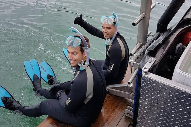 Snorkel, Kayak, and Seal Adventure: Vancouver Boat Tour - Who This Tour Fits Best (and Who Should Consider Alternatives)