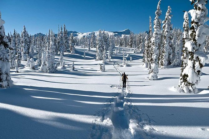 Snowshoe Through Vancouver's Winter Wonderland - Key takeaways