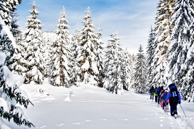 Snowshoe Through Vancouver's Winter Wonderland - Gear and cold-weather clothing: the real secret to enjoying the hike