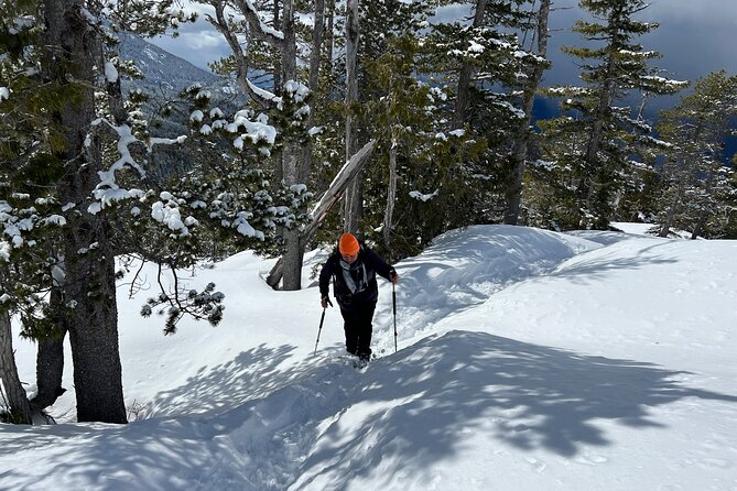 Snowshoeing at The Top of The Sea to Sky Gondola - Vancouver pickup to Squamish gondola: the day in real time