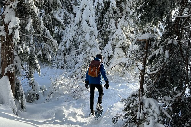 Snowshoeing at The Top of The Sea to Sky Gondola - Snowshoeing trails: what patchy snow means for your feet