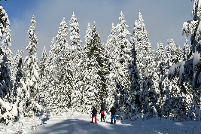 Snowshoeing at The Top of The Sea to Sky Gondola - Price and value: is $138.20 a smart buy?