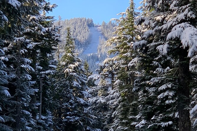 Snowshoeing In Vancouver's Winter Wonderland - Included gear and what you should bring anyway