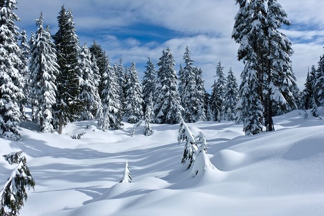 Snowshoeing In Vancouver's Winter Wonderland - Timing in your Vancouver trip: who this fits best