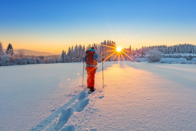 Snowshoeing In Vancouver's Winter Wonderland - What to expect at each moment of the outing