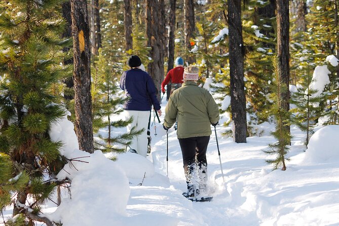 Snowshoeing In Vancouver's Winter Wonderland - How the guide experience feels in a group of six