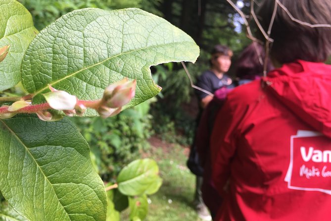 Spoken Treasures: Stanley Park Indigenous Walking Tour - Who This Tour Suits Best (And Who Might Want Something Else)