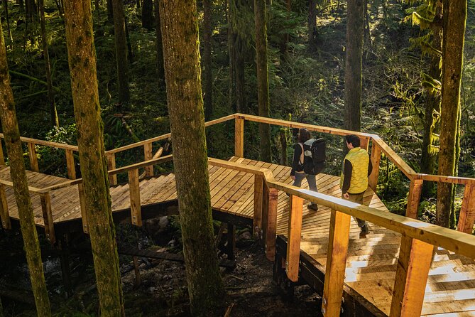 Squamish Canyon - Forest lounge stops and the halfway break that makes rainy days easier