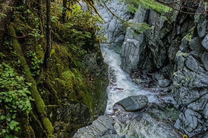 Squamish Canyon - Nature-Inspired Playground: small legs, big payoff