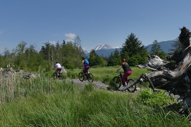 Squamish Discovery Eco-tour - Stop 1: Squamish Estuary and the Tide-Moved Ecosystem
