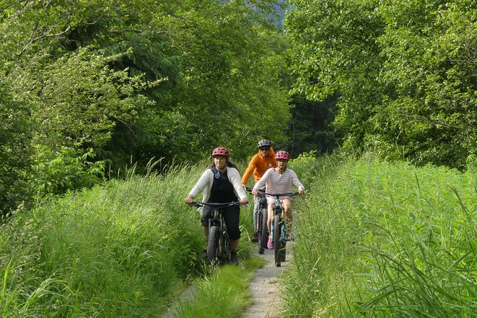 Squamish Discovery Eco-tour - Price and Value: What You’re Paying For at $111.84