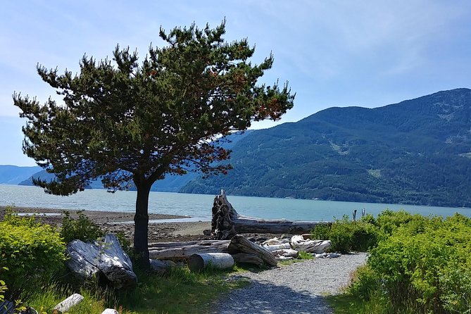 Squamish Howe Sound Explorer Private Tour - Sea to Sky Gondola: the 880-meter view you’ll remember