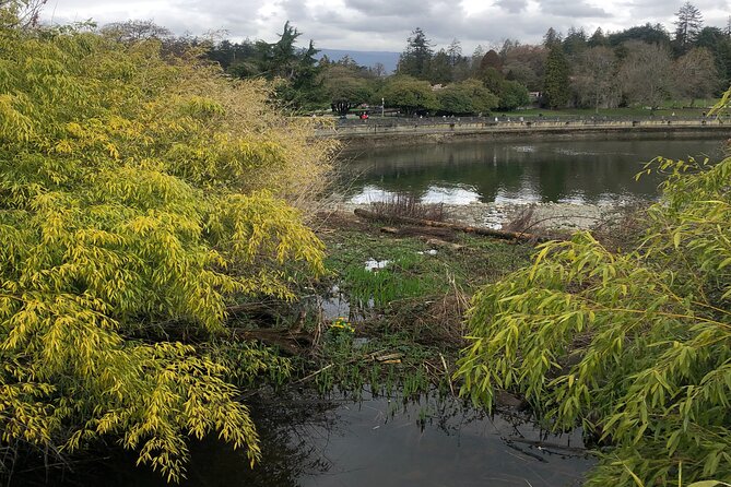 Stanley Park Bike Adventure with Lux Car Pick Up Affordable Easy - Siwash Rock, Burrard Inlet, and the coastal bends