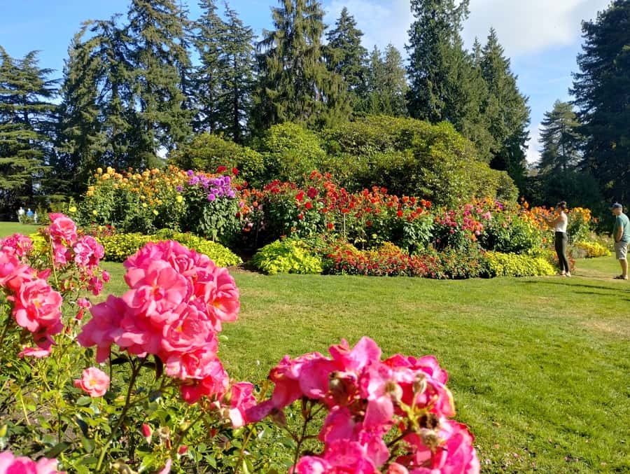 Stanley Park CarTour:SmallGroup/Comfort&CheaperThan BikeTour - Prospect Point and Seawall: the big views that make the tour feel complete