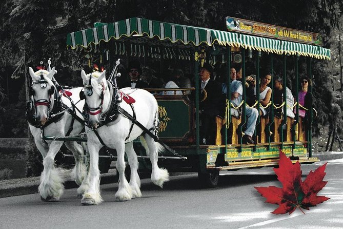 Stanley Park Horse Drawn Tour in Vancouver - Horse-drawn time saves your energy in Stanley Park