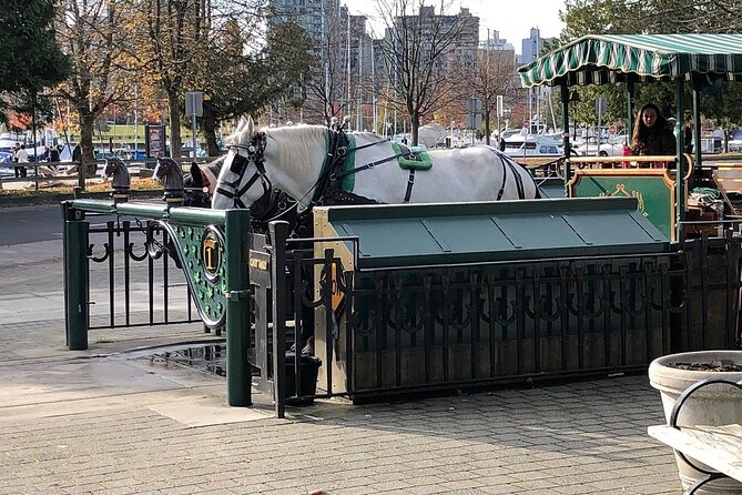 Stanley Park Horse Drawn Tour in Vancouver - How long it really takes: about one hour, give or take