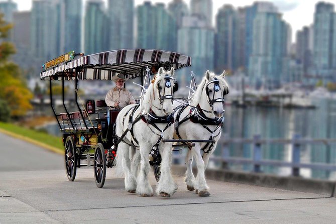 Stanley Park Horse Drawn Tour in Vancouver - Park Drive and the Seawall: the views are the whole point