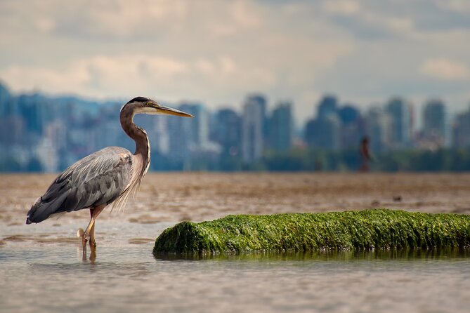 Stanley Park Self Guided Bike Tour - Totem Poles and Brockton Point: culture and coastal perspective