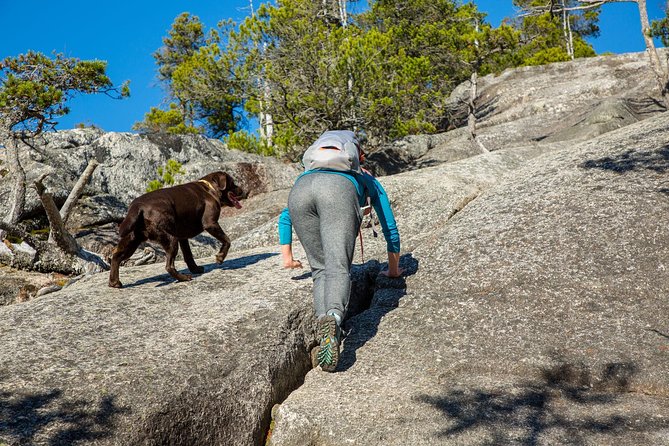 Stawamus Chief Hike & Local Brewery Tasting - A tight morning schedule that keeps the day fun (not stressful)