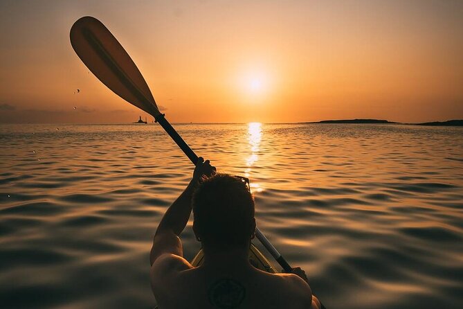 Sunset Boat Cruise in Vancouver - Key highlights you should care about