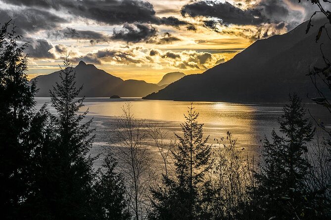 Sunset Boat Cruise in Vancouver - Wildlife viewing: what you should realistically watch for
