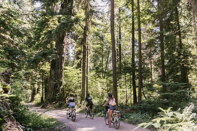 The Stanley Park Bicycle Tour by Cycle City Tours - Price and What You Get for $81.35 (Why It Can Beat Renting Solo)