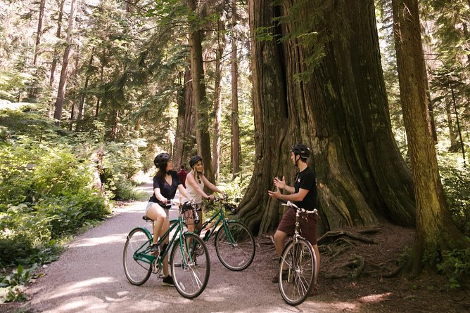 The Stanley Park Bicycle Tour by Cycle City Tours - Weather Reality: Rain or Shine, and What to Wear in Vancouver