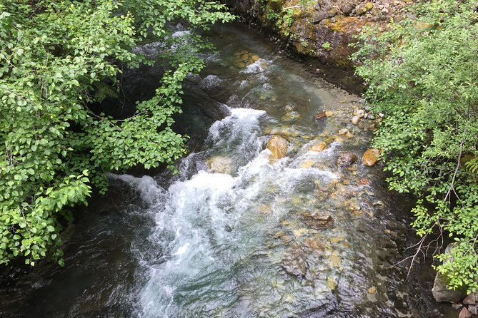 Unforgettable Whistler ( Full Day Private Tour) - Who This Private Whistler Day Fits Best
