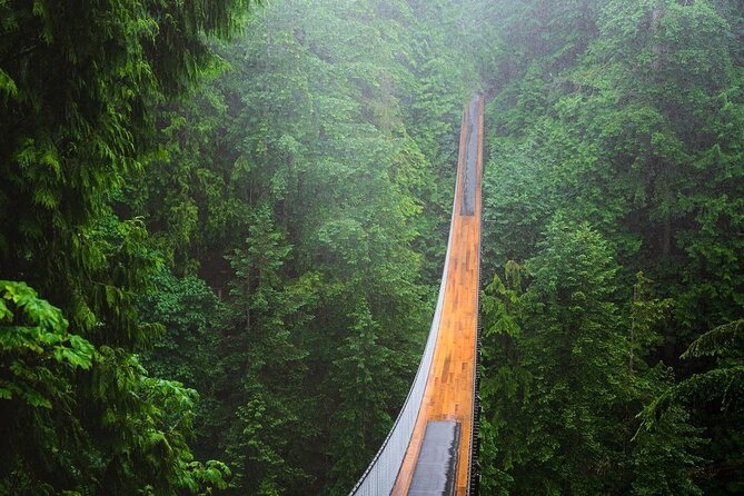 Vancouver 1-Day Tour (Granville Island/Stanley Park) (Chn&Eng) - Price and Value: What $65.72 Buys You (and What It Doesn’t)