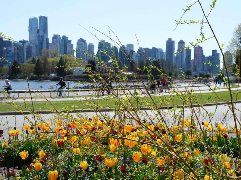 Vancouver: 24 or 48-Hour Hop-On Hop-Off Trolley Tour Pass - Who This Pass Suits Best (And Who Should Think Twice)