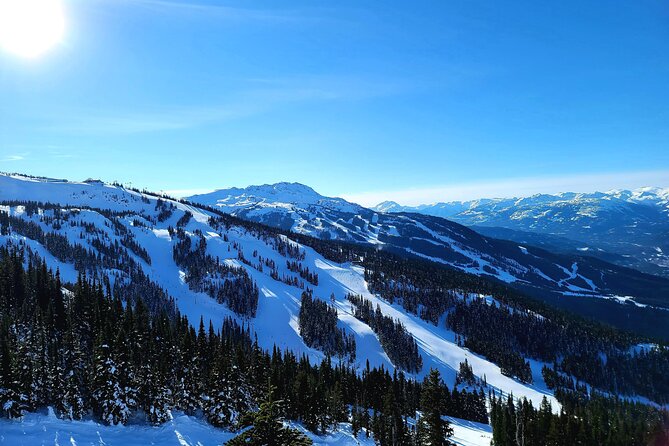 Vancouver Airport to Whistler Private Transfer - Who this transfer is best for (and who might not need it)
