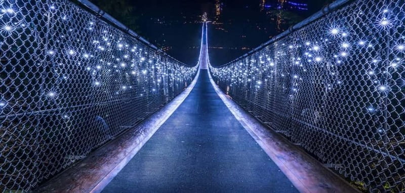 Vancouver: Attractions by Twilight Guided Tour with Dinner - Hotel Pickup and the Downtown-to-Stanley Park Warm-Up