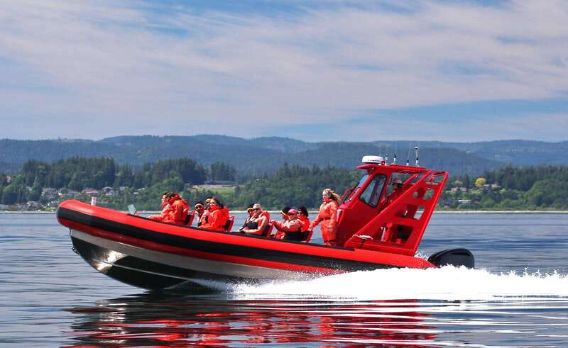 Vancouver, BC: Whale Watching Tour Small Zodiac with Guide - The mustang suit requirement (and why it’s a good thing)