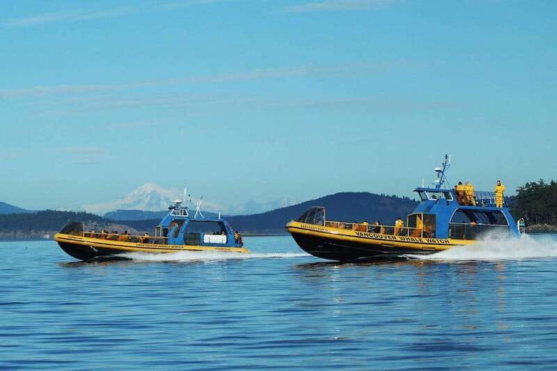 Vancouver, BC: Whale Watching Tour with Guide - Richmond Check-In, Shuttles, and Finding the Dock Without Stress