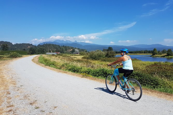 Vancouver Biking and Hiking Tour including Lunch - Lynn Canyon Park: rainforest walking and a 150-foot suspension bridge