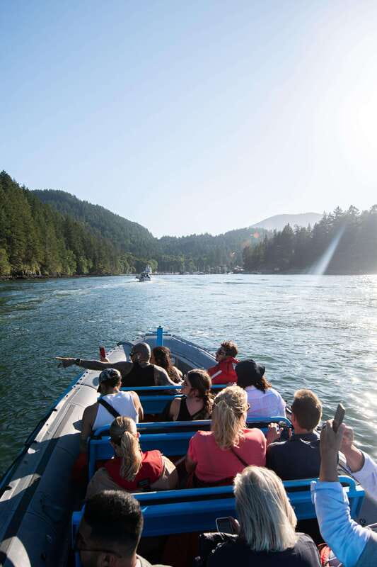 Vancouver: Boat to Bowen Island on UNESCO Howe Sound Fjord - Wildlife Encounters Beyond Seals: Eagles and Extra Moments