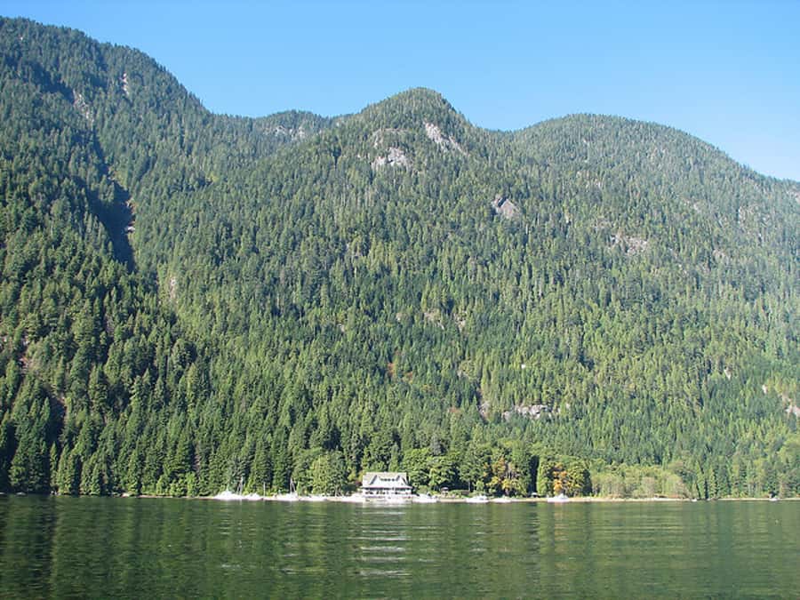 Vancouver Brunch Cruise - Drinks: what’s included, what costs extra, and how to plan